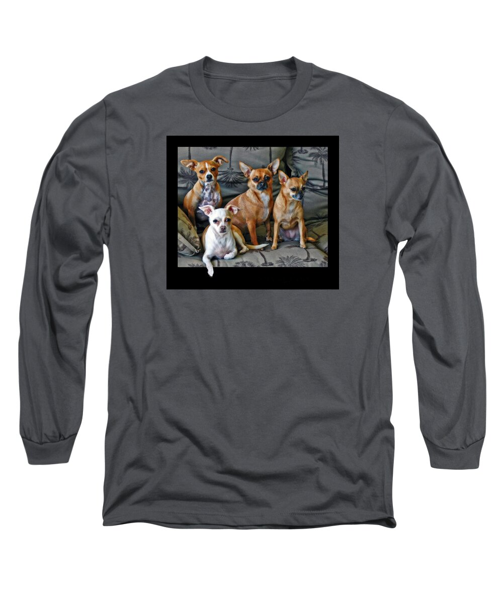 Chihuahuas Long Sleeve T-Shirt featuring the photograph Chihuahuas Hanging Out by Ginger Wakem
