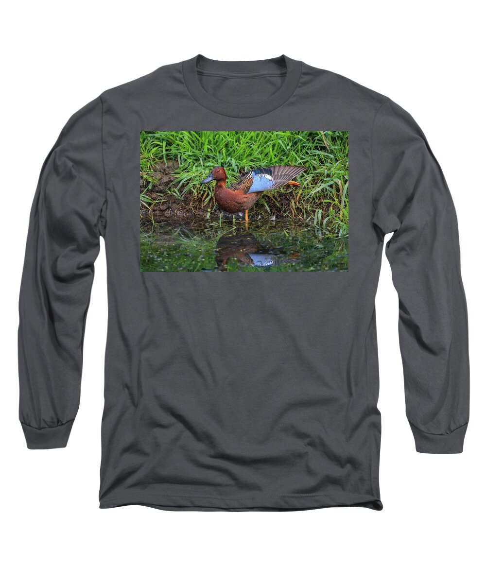 Sam Amato Photography Long Sleeve T-Shirt featuring the photograph Cinnamon Teal Stretching by Sam Amato