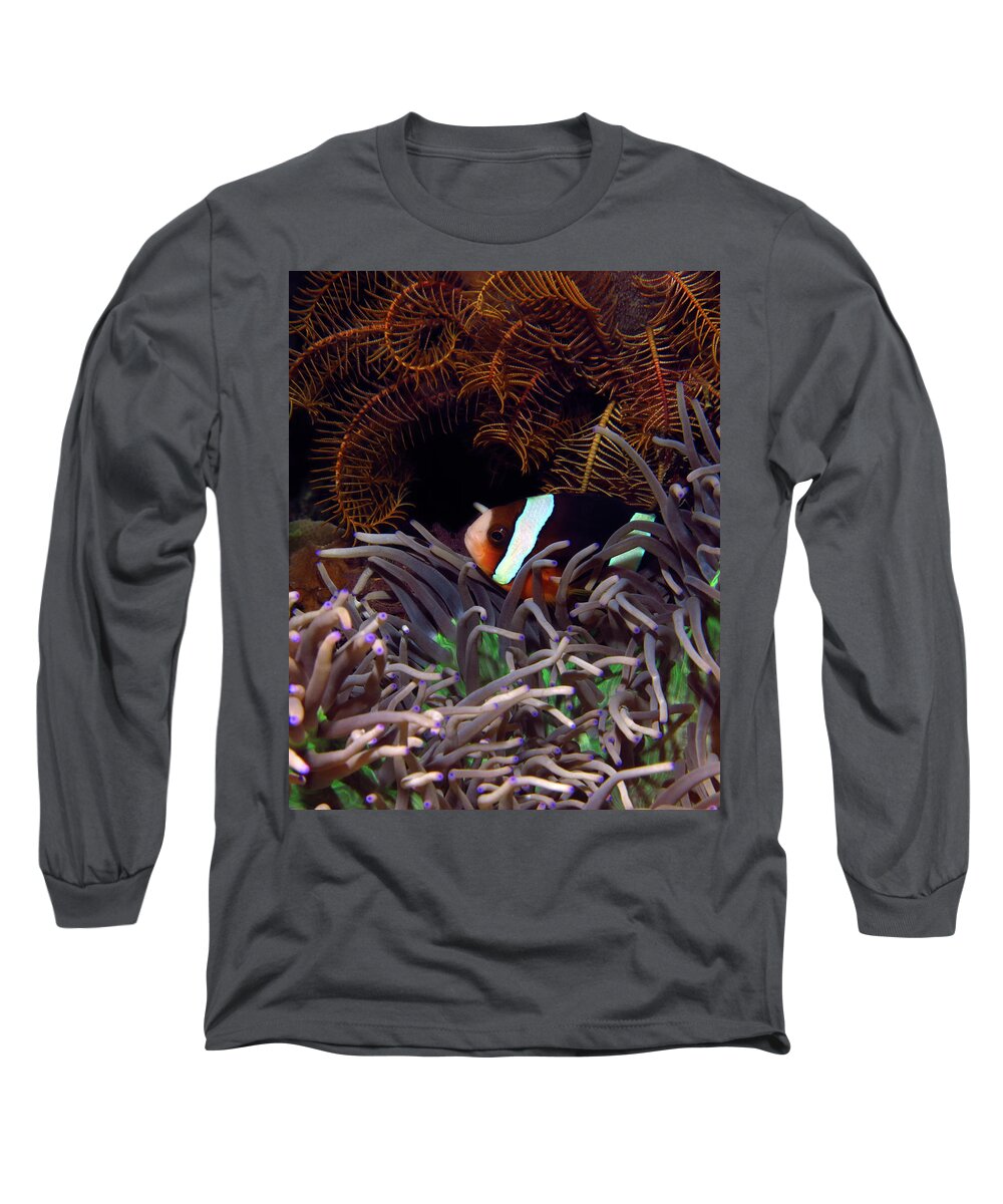 Clark's Anemonefish Long Sleeve T-Shirt featuring the photograph Clark's Anemonefish, Indonesia 2 by Pauline Walsh Jacobson
