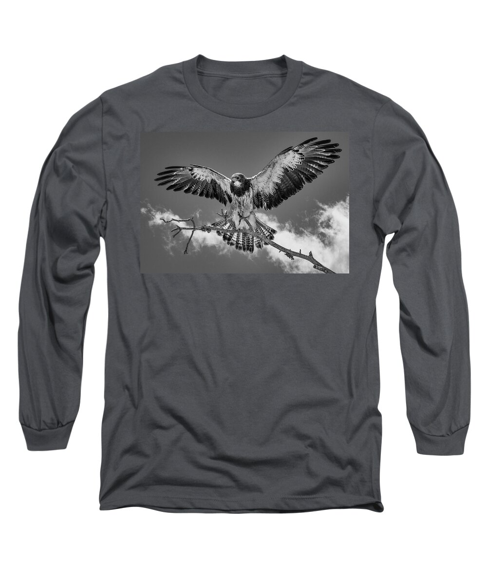 Bird Long Sleeve T-Shirt featuring the photograph Cleared For Landing 2 by Bruce Bonnett