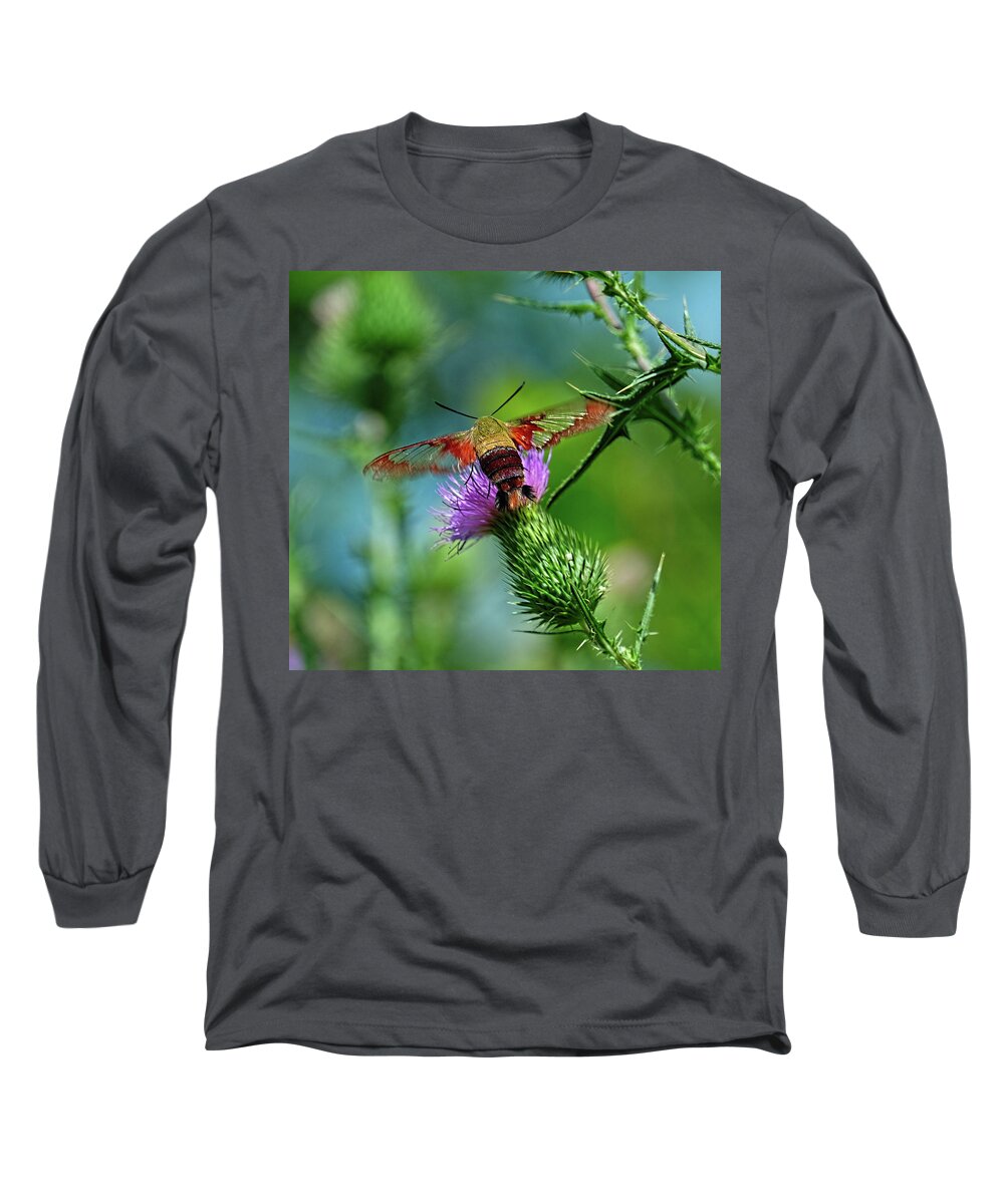 Clearwing Hummingbird Moth Long Sleeve T-Shirt featuring the photograph Clearwing Hummingbird Moth by Ronda Ryan