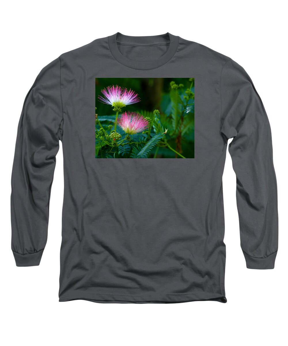 Closeup Of A Mimosa Bloom Long Sleeve T-Shirt featuring the photograph Closeup Of A Mimosa Bloom by Jeanette C Landstrom