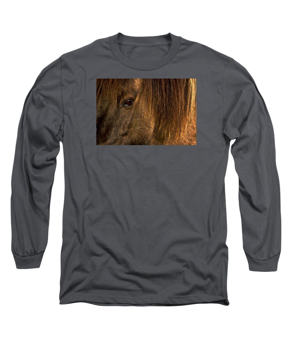 Horse Long Sleeve T-Shirt featuring the photograph Closeup Of An Icelandic Horse #2 by Stuart Litoff
