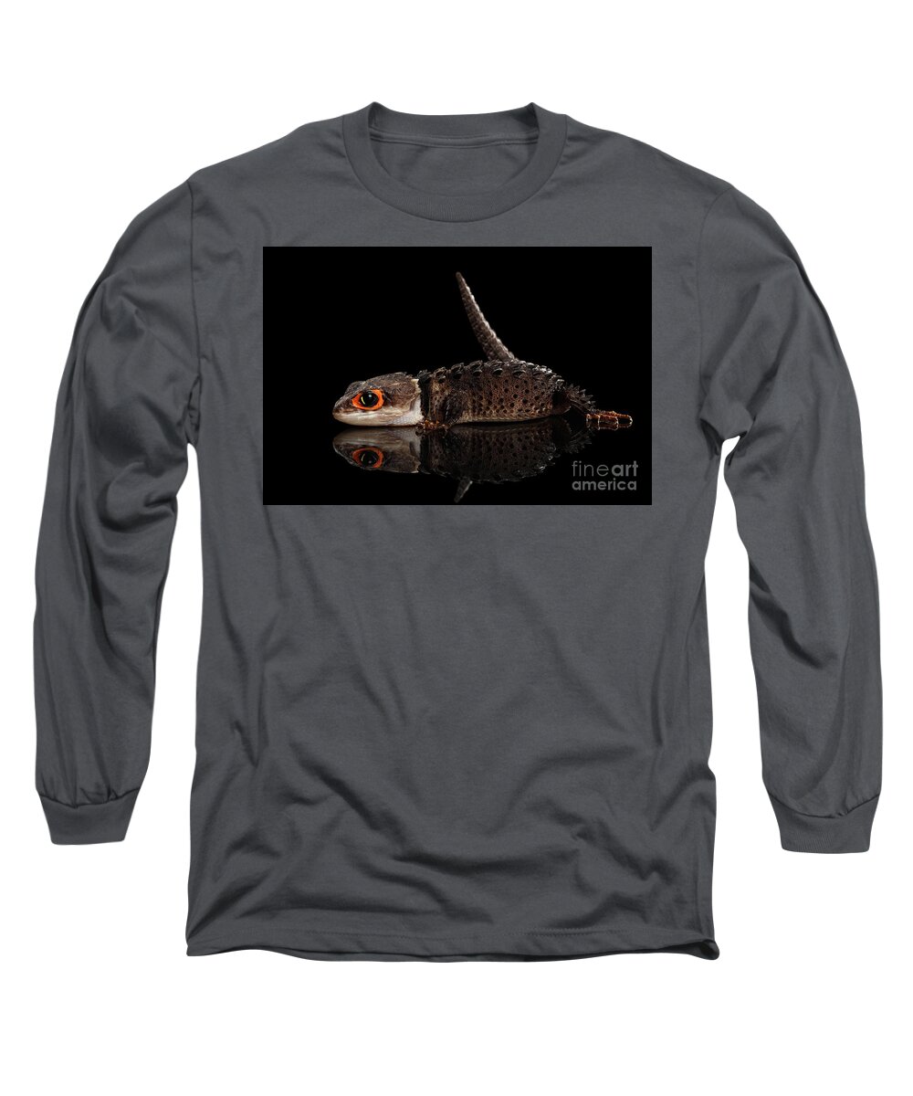 Crocodile Long Sleeve T-Shirt featuring the photograph Closeup Red-eyed crocodile skink, tribolonotus gracilis, isolated on Black background by Sergey Taran