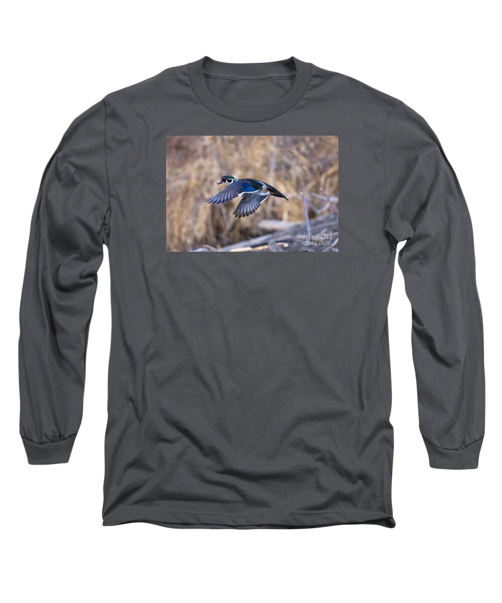 Duck Long Sleeve T-Shirt featuring the photograph Color Flight by Douglas Kikendall