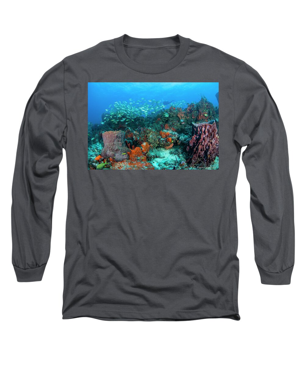Scene.scenes Long Sleeve T-Shirt featuring the photograph Color Of Life by Sandra Edwards