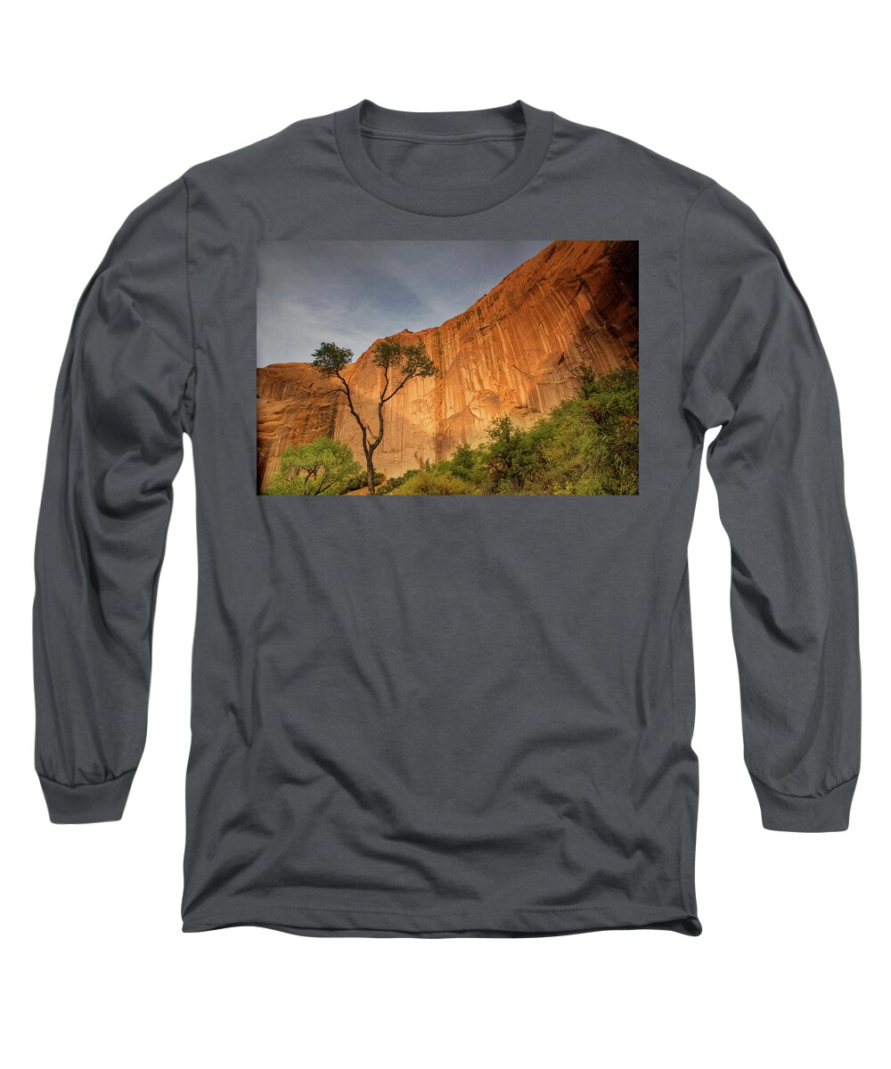 Coyote Gulch Long Sleeve T-Shirt featuring the photograph Colors of bliss by Kunal Mehra