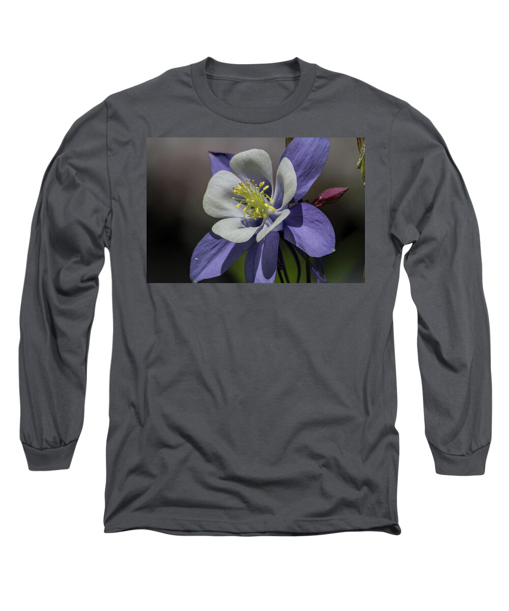 Flower Long Sleeve T-Shirt featuring the photograph Columbine Blues by Alana Thrower