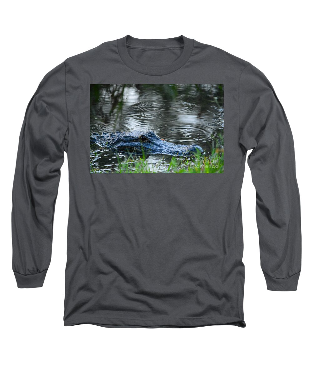 Gator Long Sleeve T-Shirt featuring the photograph Come Swimming by Barry Bohn