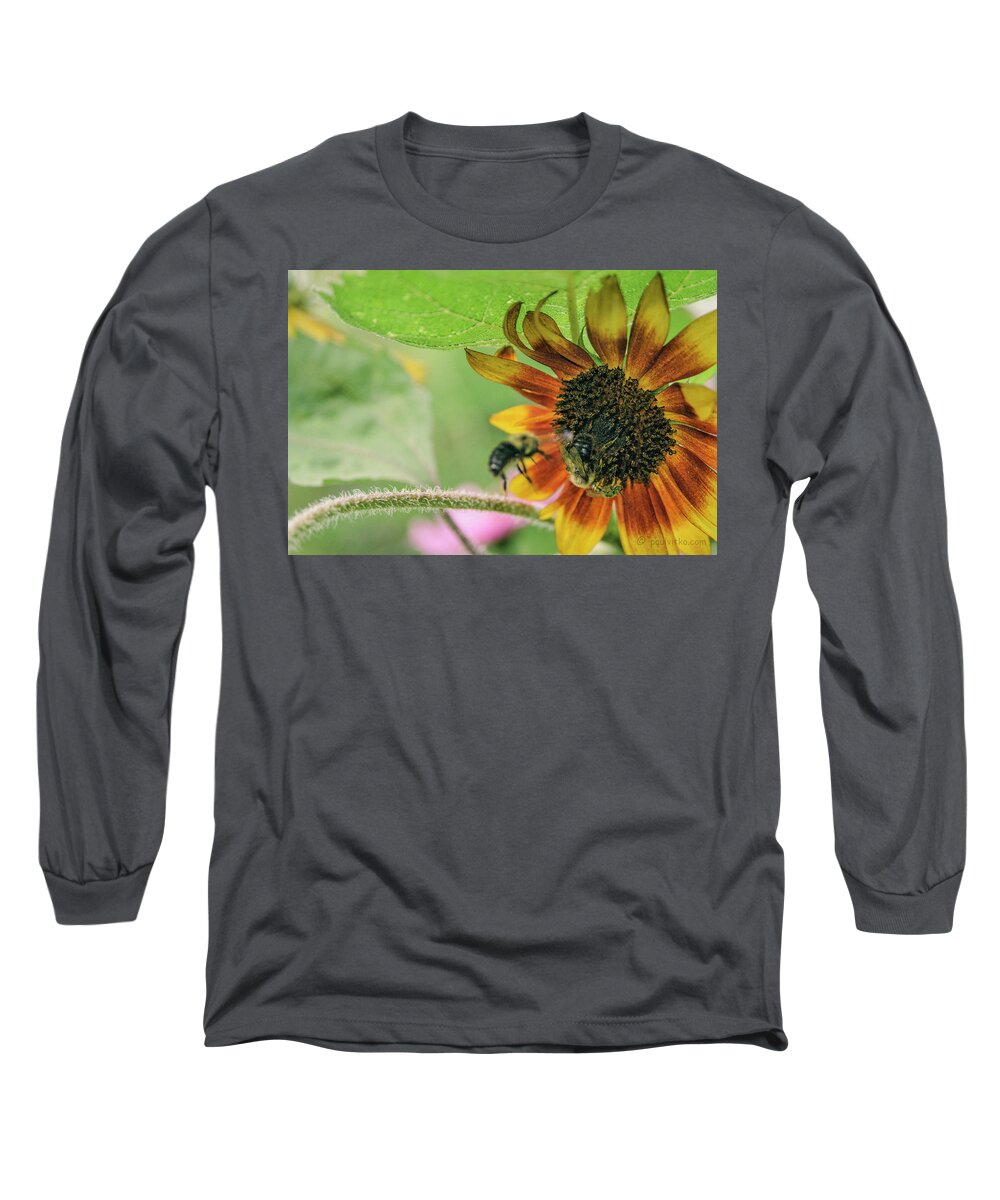  Long Sleeve T-Shirt featuring the photograph Coming In..... by Paul Vitko