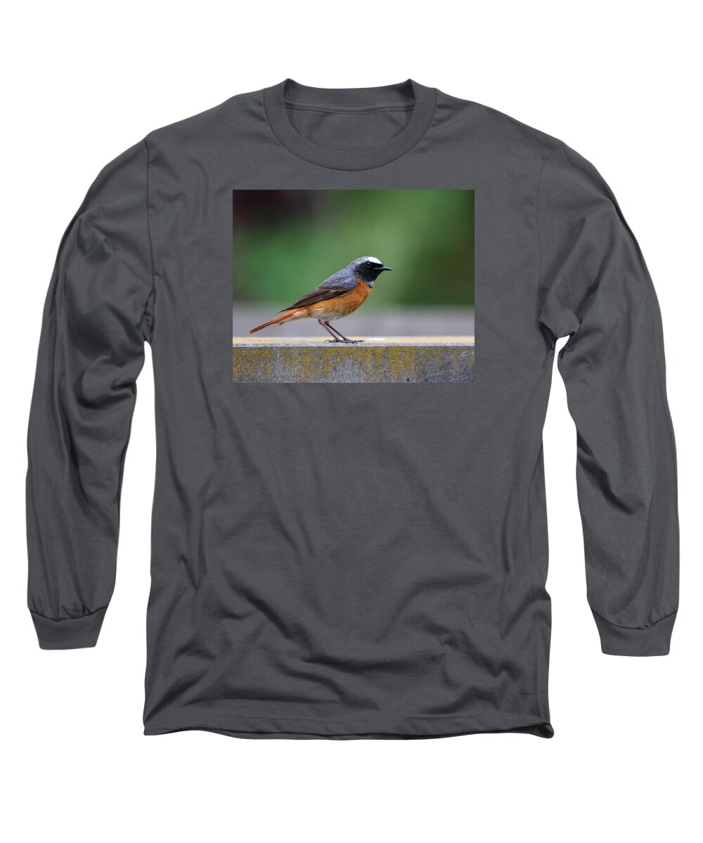 Common Redstart Long Sleeve T-Shirt featuring the photograph Common Redstart by Claudio Maioli