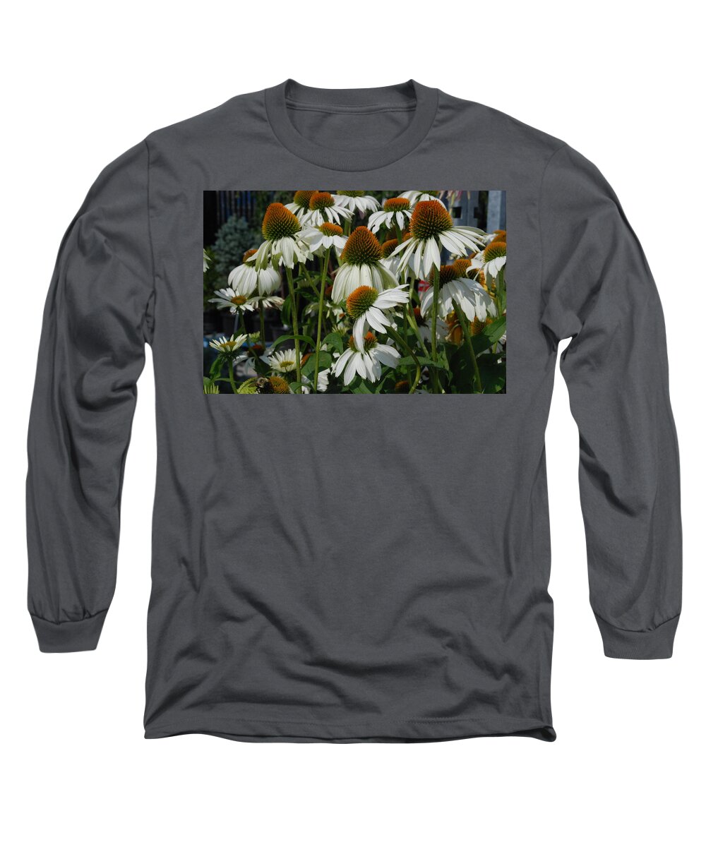 Cone Flowers Long Sleeve T-Shirt featuring the photograph Cone Flower by Ee Photography