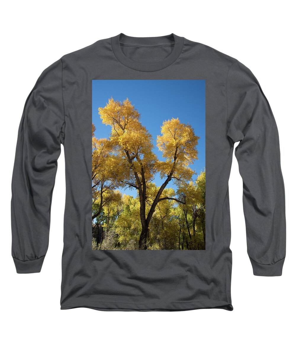 Cody Long Sleeve T-Shirt featuring the photograph Cool, Crisp, Clean by Frank Madia