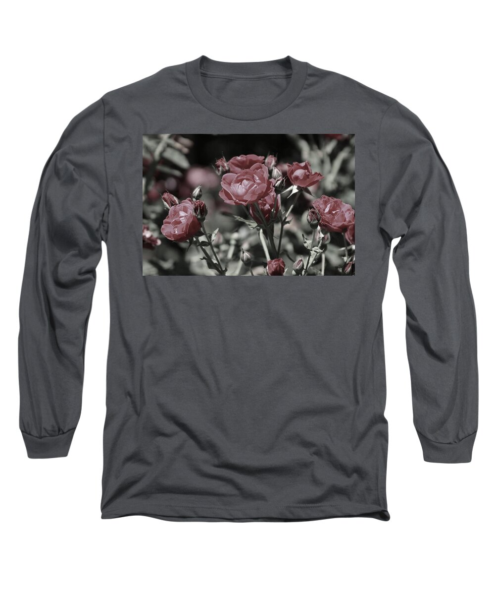 Copper Pink Rose Long Sleeve T-Shirt featuring the photograph Copper Rouge Rose in Almost Black and White by Colleen Cornelius