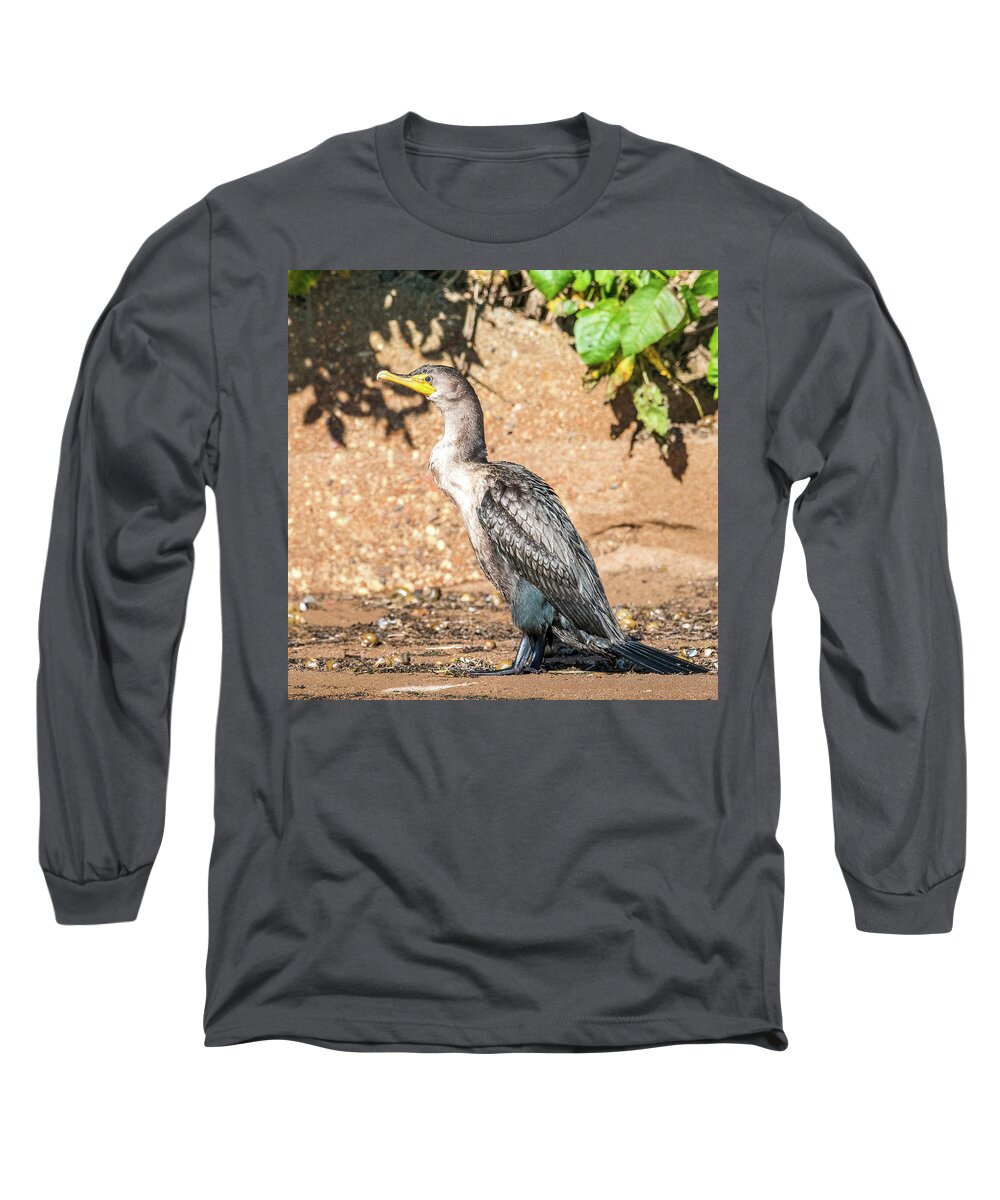Cormorant Long Sleeve T-Shirt featuring the photograph Cormorant on Shore by Paul Freidlund