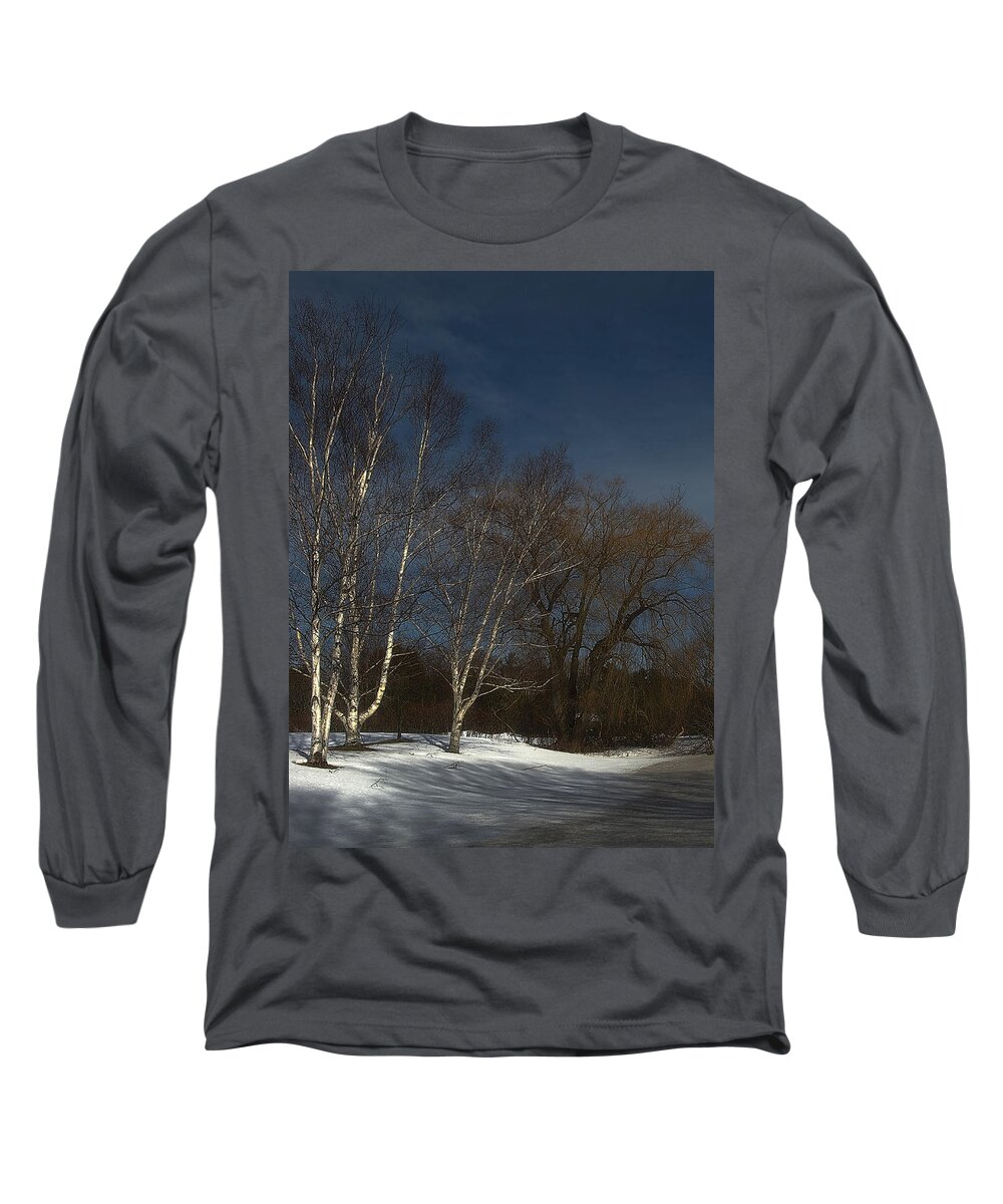 Winter Long Sleeve T-Shirt featuring the photograph Country Roadside Birch by JGracey Stinson