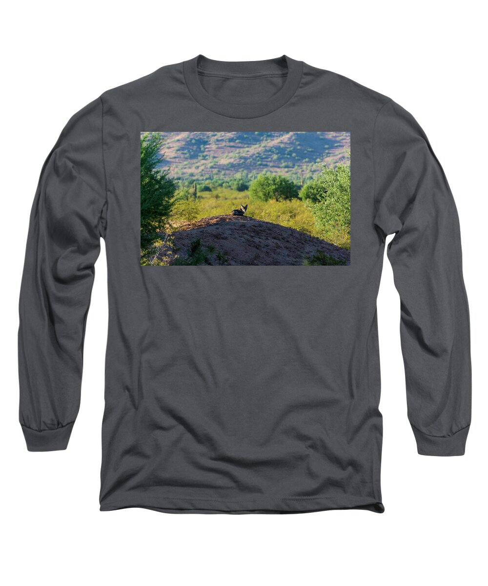 Coyote Long Sleeve T-Shirt featuring the photograph Coyote Hill by Douglas Killourie