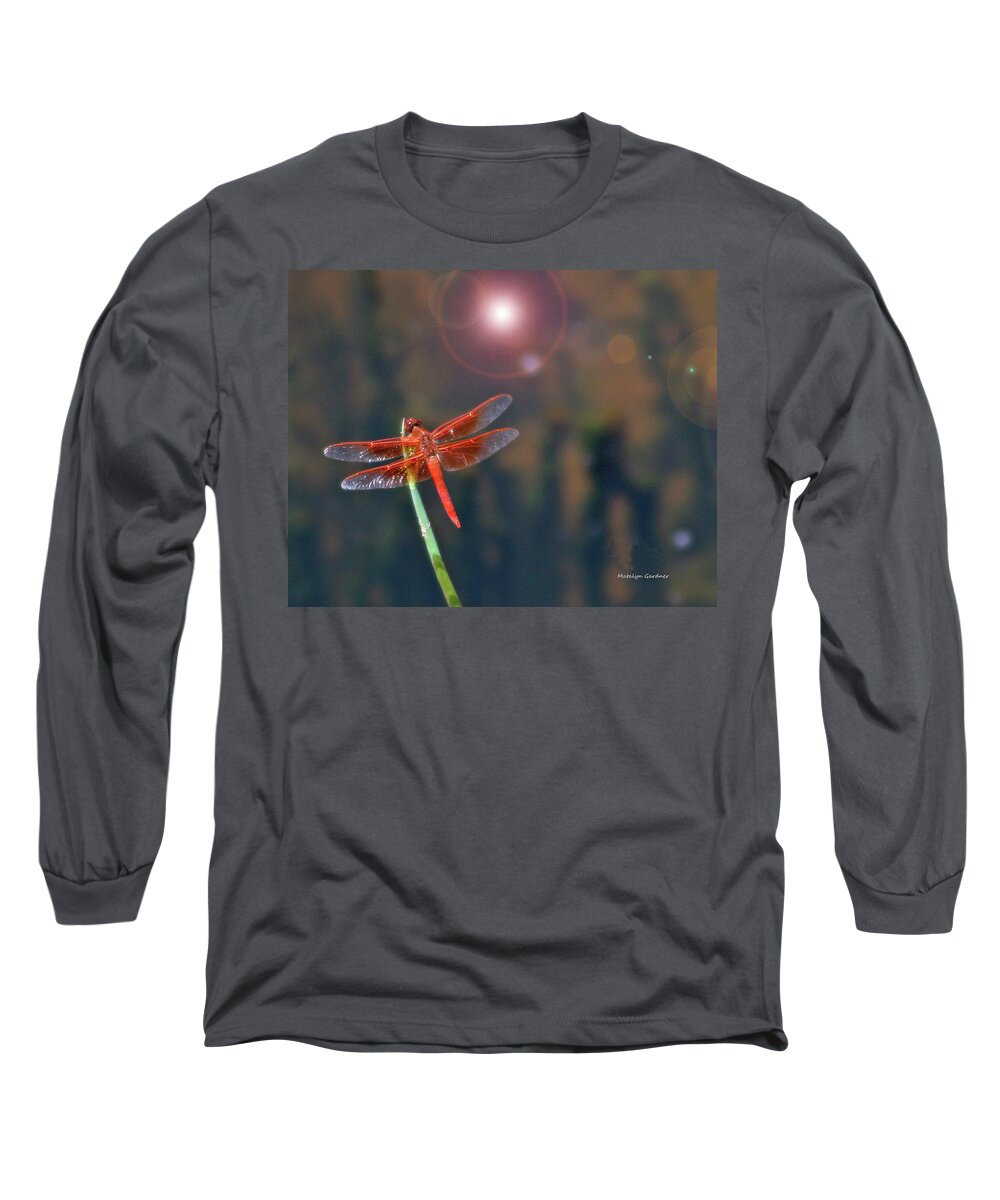Dragonfly Long Sleeve T-Shirt featuring the photograph Crackerjack Dragonfly by Matalyn Gardner