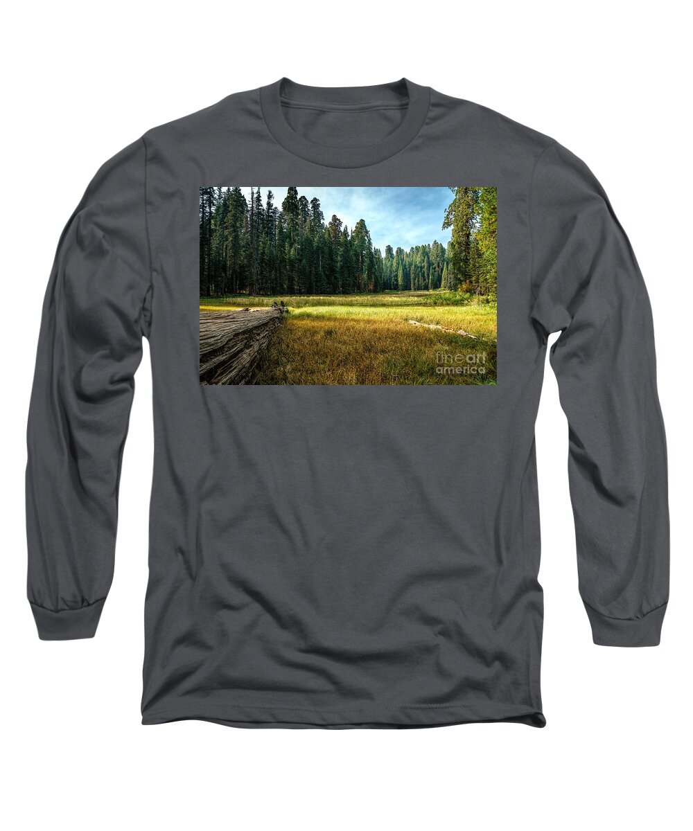 Crescent Meadows Long Sleeve T-Shirt featuring the photograph Crescent Meadows Sequoia NP by Daniel Heine