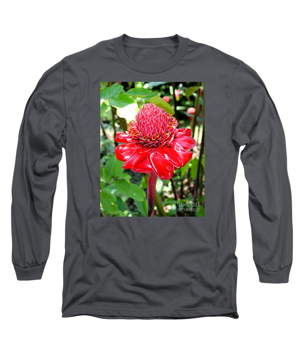 Flower Long Sleeve T-Shirt featuring the photograph Crimson Bloom by Alice Terrill
