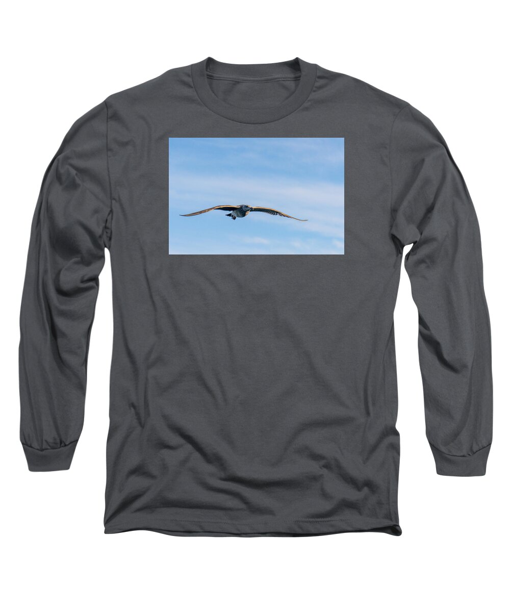 Sea Gull Long Sleeve T-Shirt featuring the photograph Cruising by Derek Dean