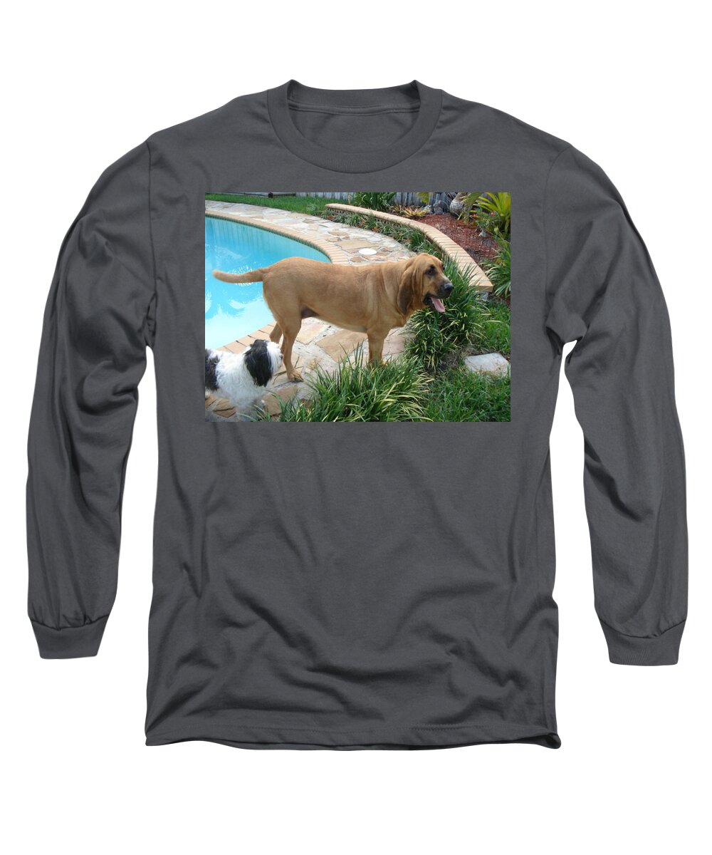 Bloodhound Long Sleeve T-Shirt featuring the photograph Cujo and Lucky by the Pool by Val Oconnor