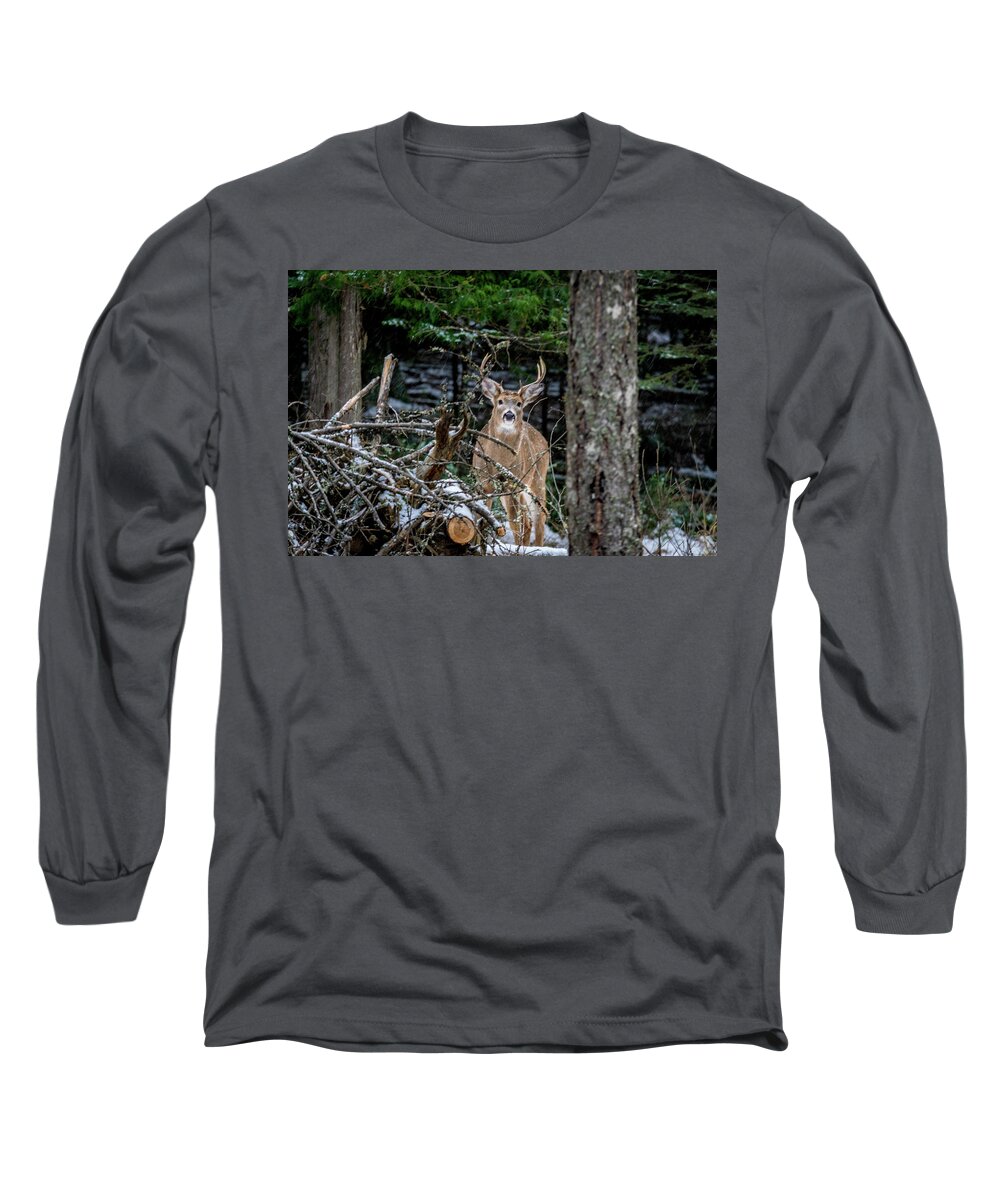 Wildlife Long Sleeve T-Shirt featuring the photograph Curious Buck by Lester Plank