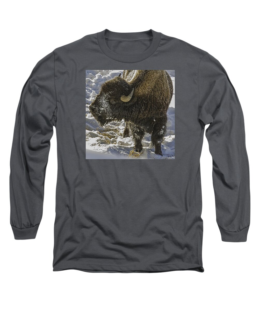 Bison Long Sleeve T-Shirt featuring the photograph Cute by Mark Harrington