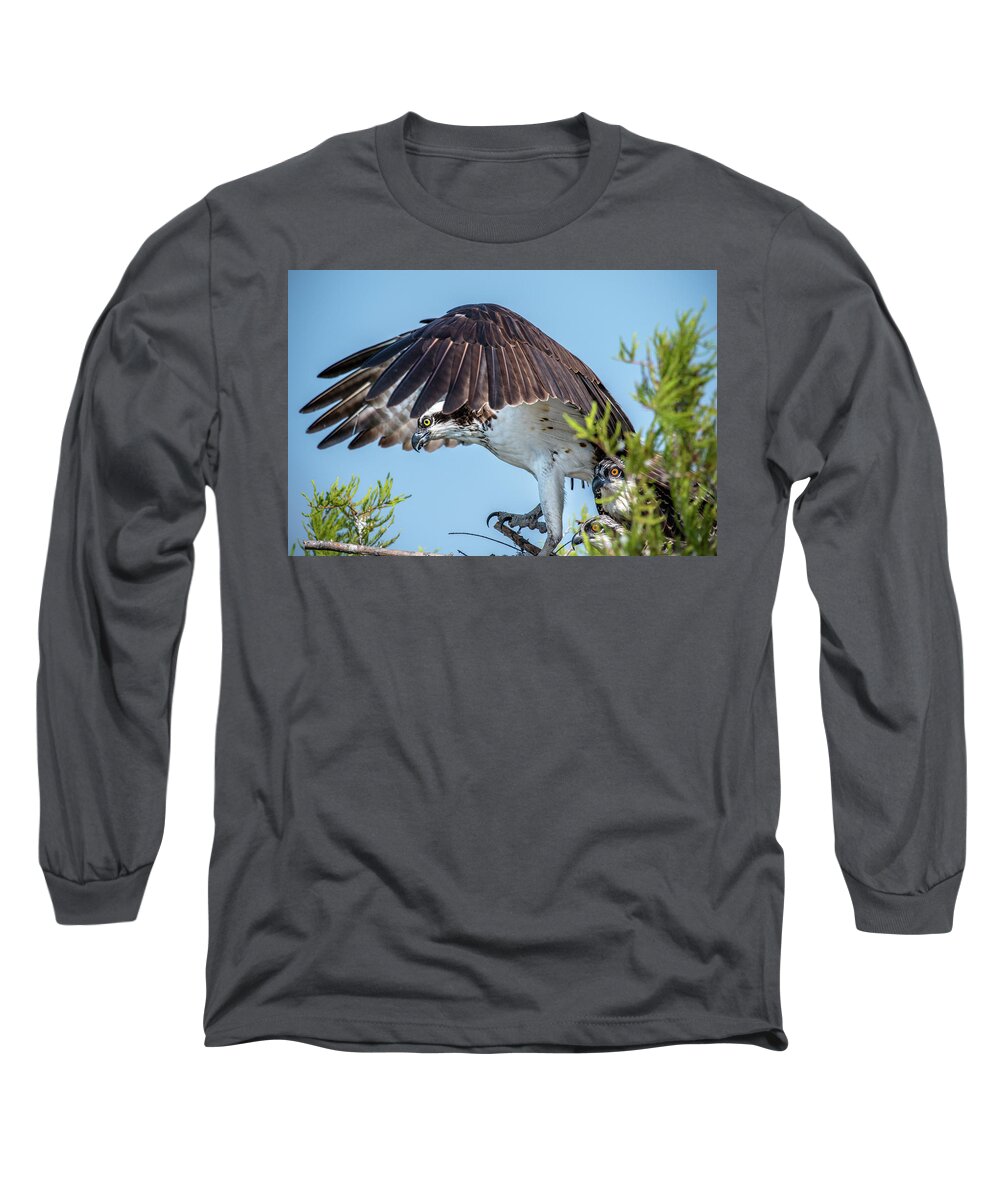 Nature Long Sleeve T-Shirt featuring the photograph Daddy Osprey on Guard by Donald Brown