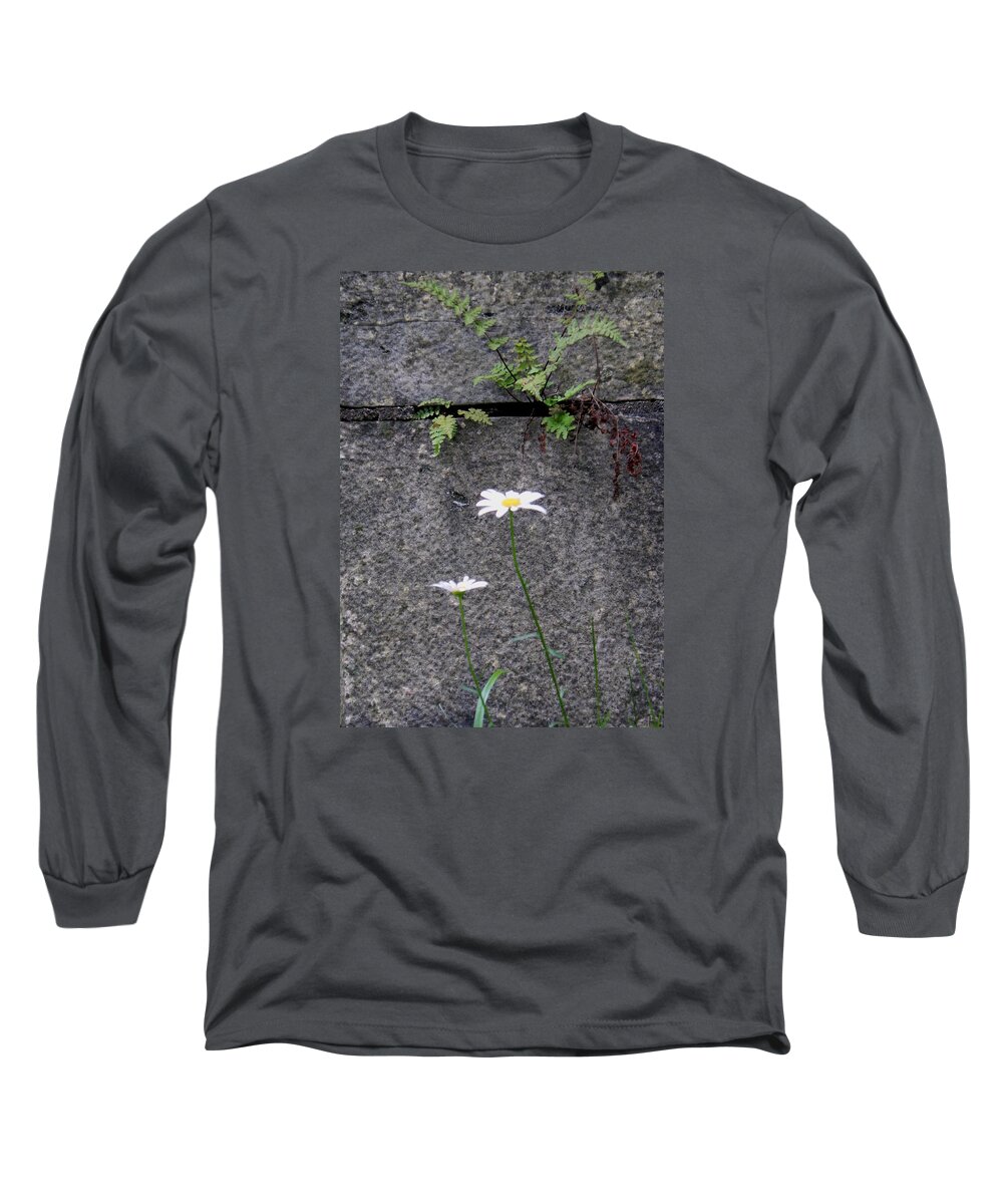 Daisy Long Sleeve T-Shirt featuring the photograph Daisy Loves Fern by Wild Thing
