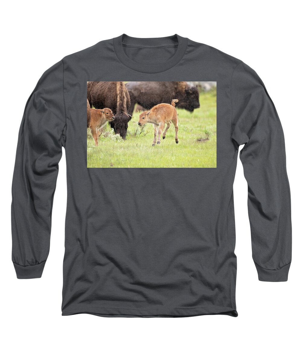 Bison Long Sleeve T-Shirt featuring the photograph Dance in the Rain by Eilish Palmer
