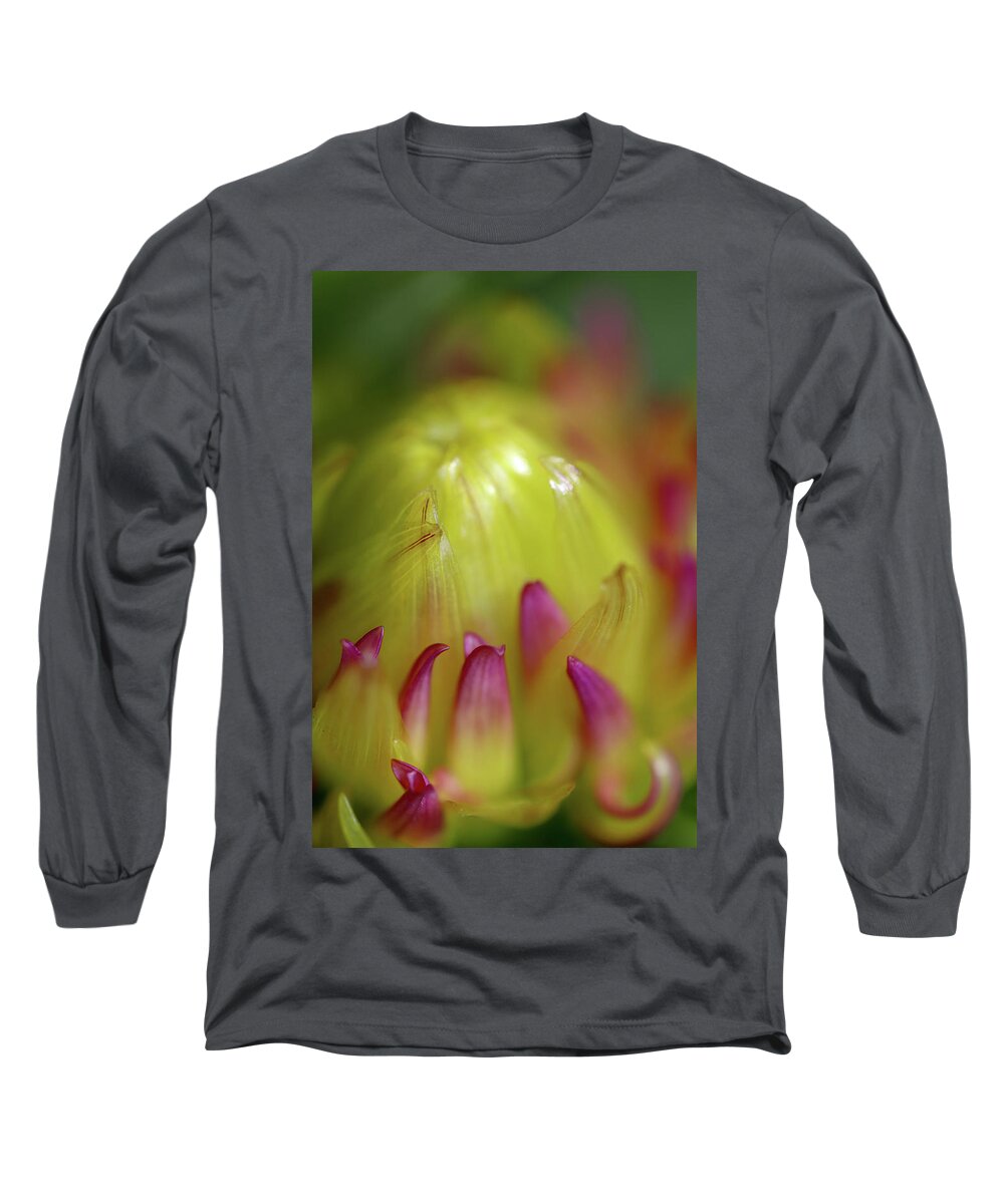 Flower Long Sleeve T-Shirt featuring the photograph Dancing Bud by Mary Anne Delgado
