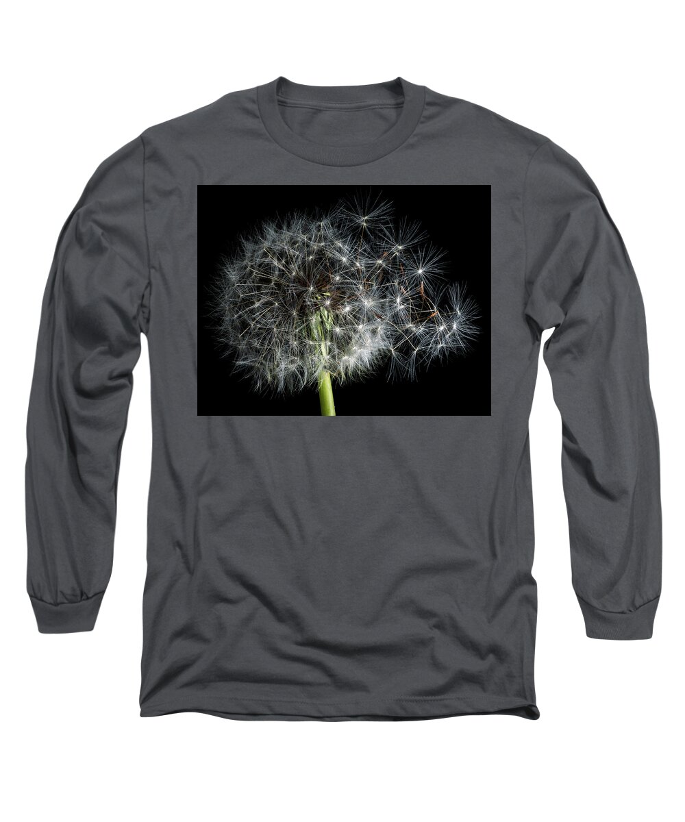 America Long Sleeve T-Shirt featuring the photograph Dandelion 2 by James Sage