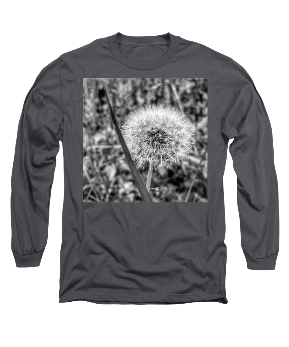 Weed Long Sleeve T-Shirt featuring the photograph Dandelion by Al Harden