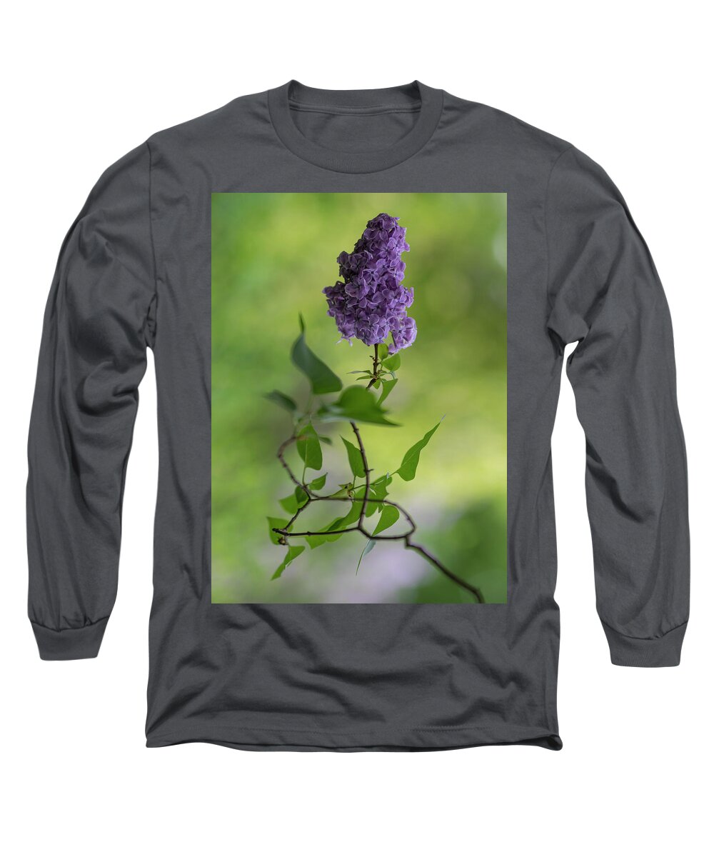 Flower Long Sleeve T-Shirt featuring the photograph Dark violet lilac by Jaroslaw Blaminsky