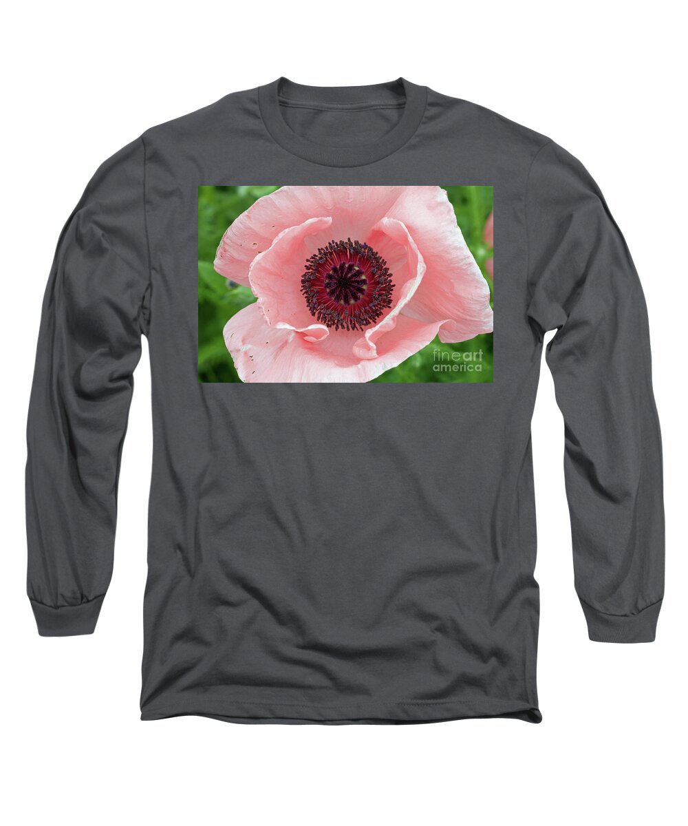 Flower Long Sleeve T-Shirt featuring the photograph Deep Pink by Jim Gillen