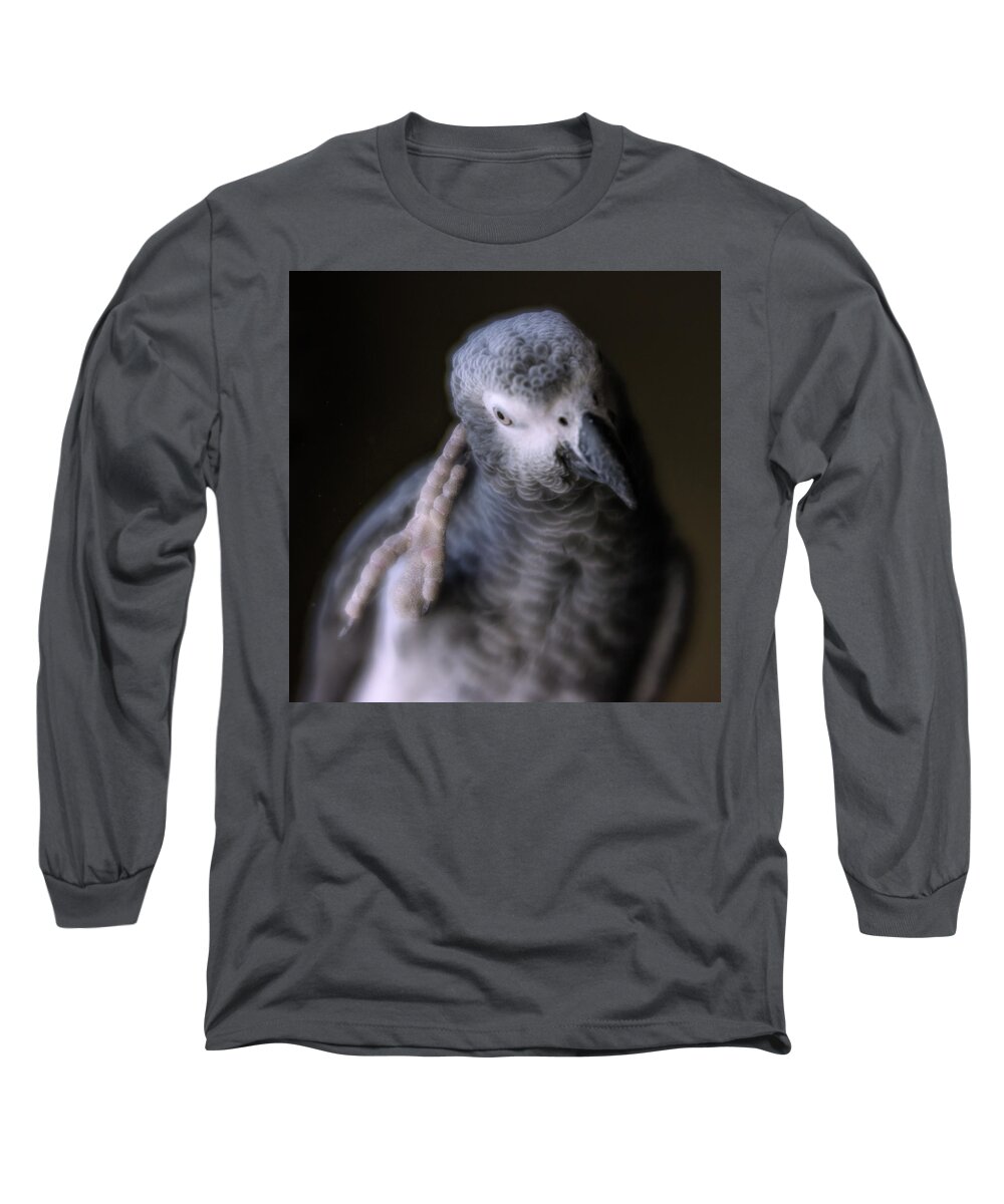 African Grey Long Sleeve T-Shirt featuring the photograph Deep Thinker by Jennifer Grossnickle