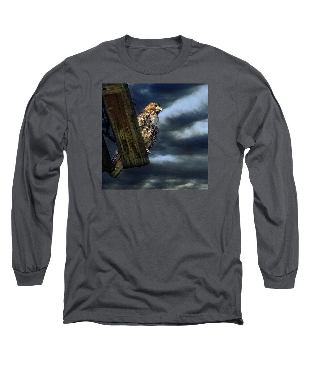 Buteo Long Sleeve T-Shirt featuring the photograph Defiance by Belinda Greb