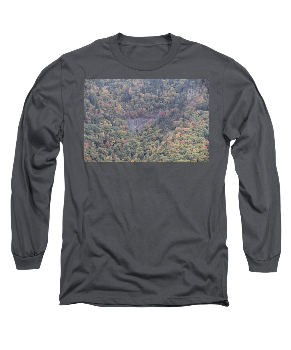  Blue Ridge Parkway Scene Long Sleeve T-Shirt featuring the photograph Dense Woods by Allen Nice-Webb