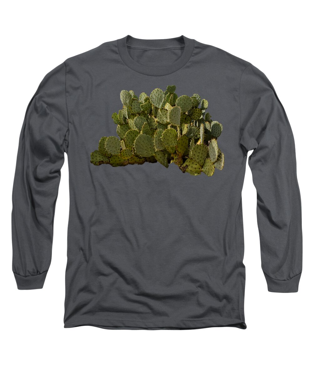 Arizona Long Sleeve T-Shirt featuring the photograph Desert Prickly-Pear No6 by Mark Myhaver