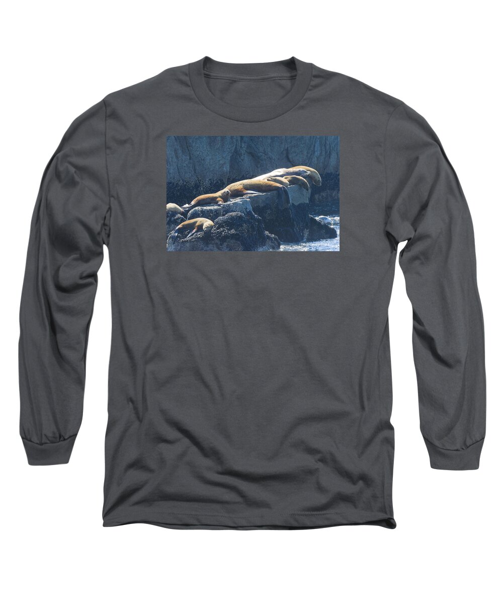 Wildlife. Stellar Long Sleeve T-Shirt featuring the photograph Didnt Get the Memo by Harold Piskiel
