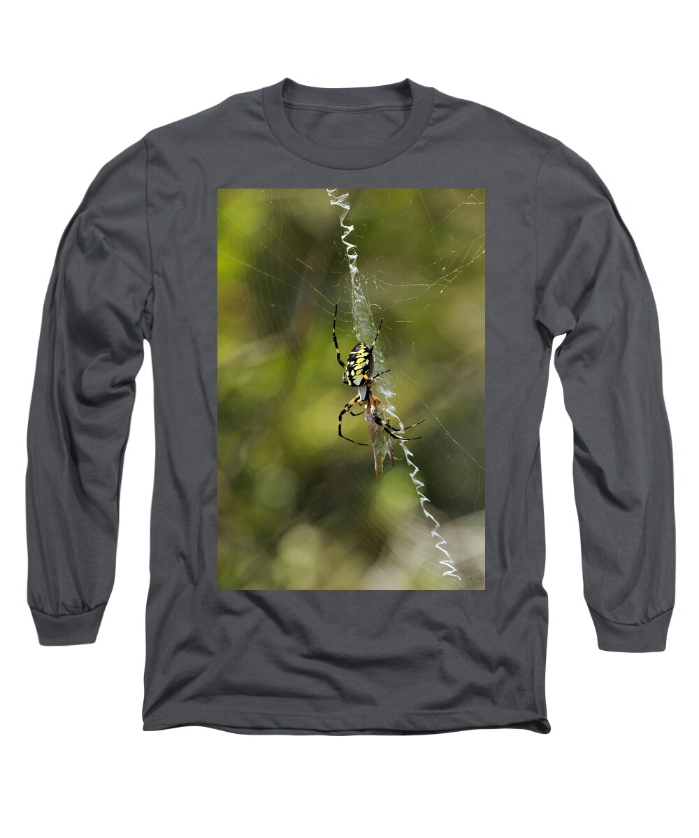 Arachnid Long Sleeve T-Shirt featuring the photograph Dinner Time by Travis Rogers