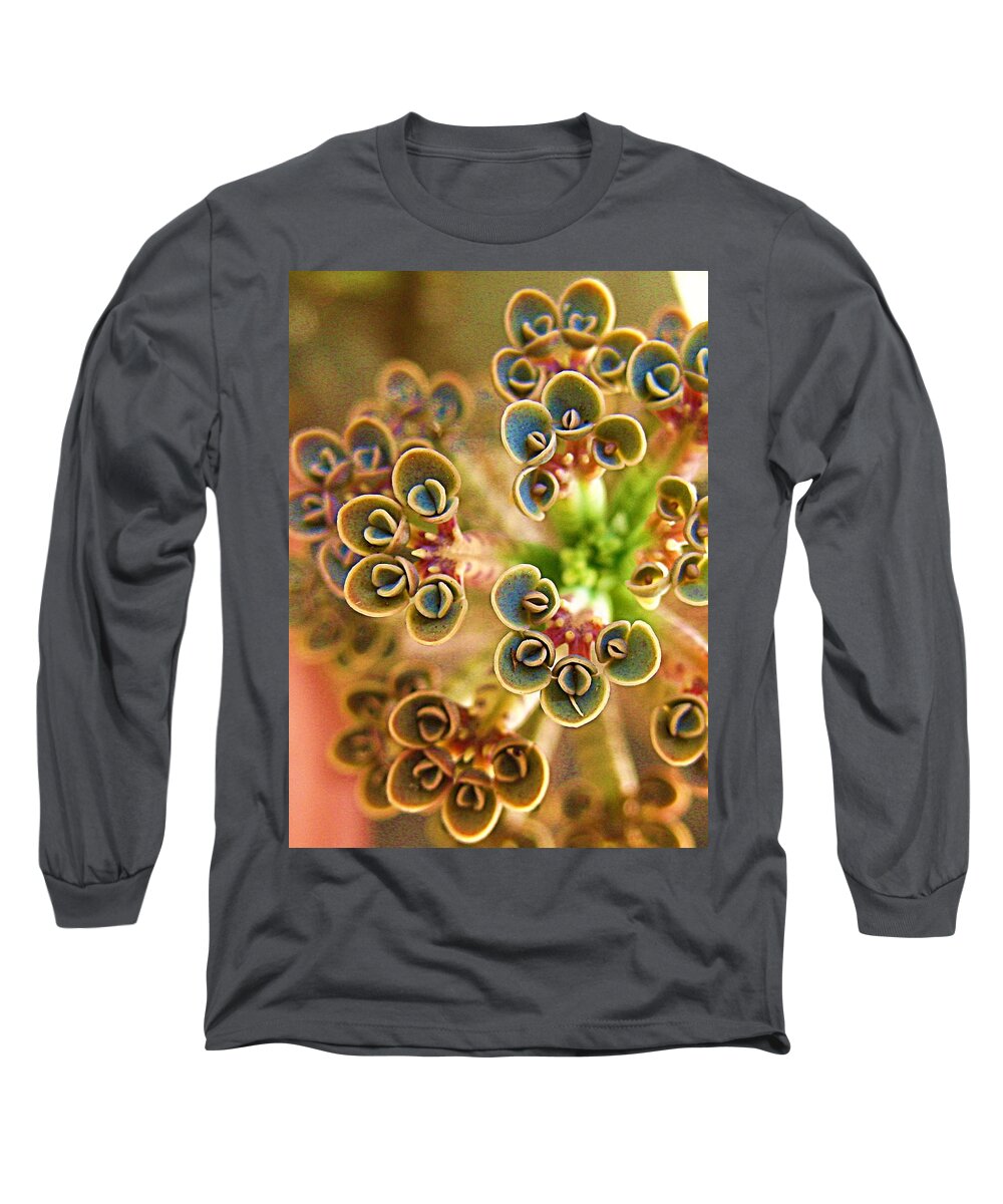 Plants Long Sleeve T-Shirt featuring the photograph Up And Coming Body Snatchers by John King I I I
