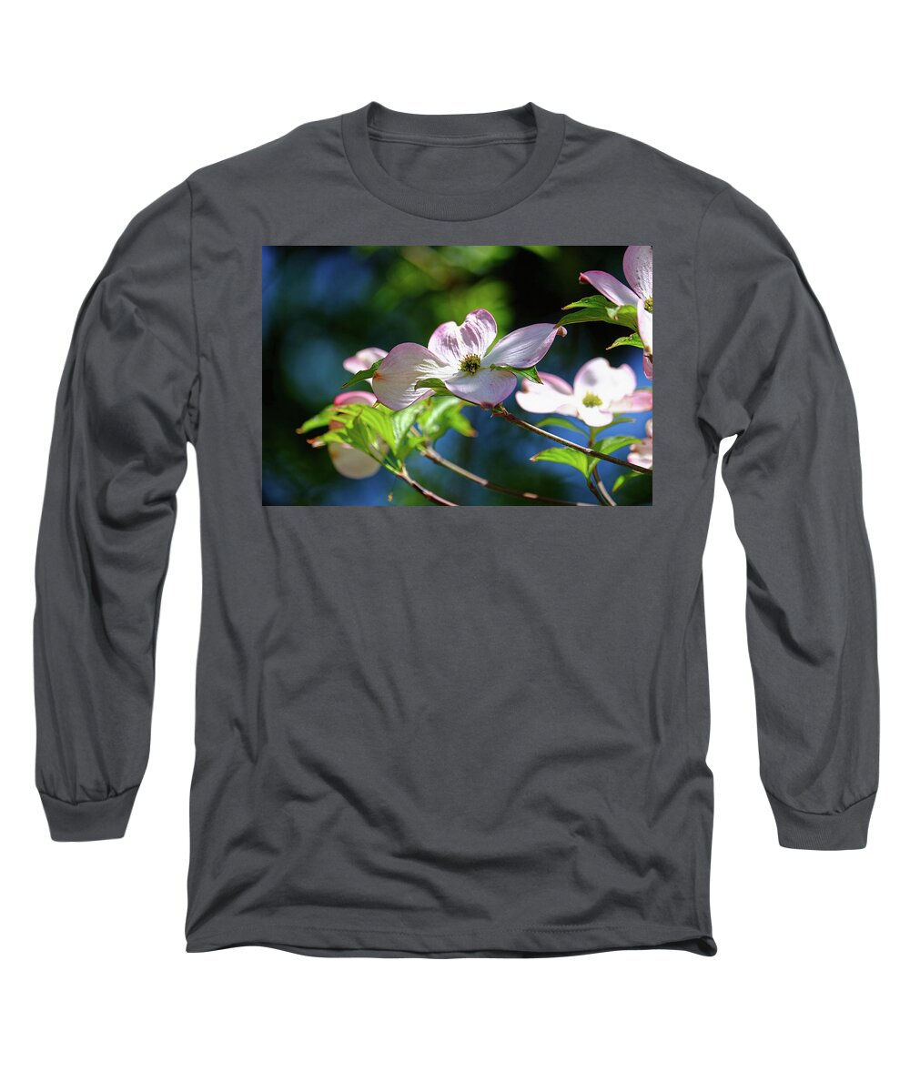Dogwood Flowers Long Sleeve T-Shirt featuring the photograph Dogwood flowers by Ronda Ryan