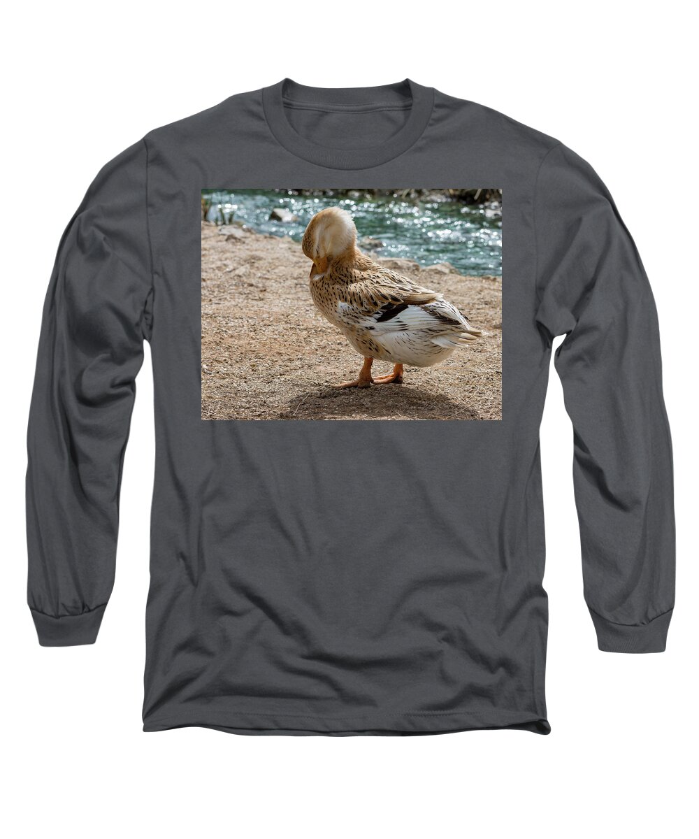 Duck Long Sleeve T-Shirt featuring the photograph Domestic Duck by Douglas Killourie