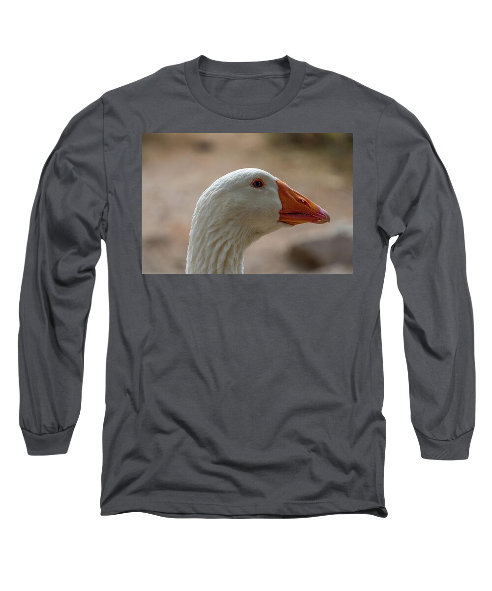 Bird Long Sleeve T-Shirt featuring the photograph Domestic Goose by Douglas Killourie