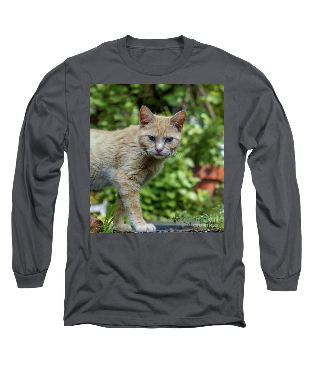 Animal Long Sleeve T-Shirt featuring the photograph Dont even think about it 9430b by Ricardos Creations
