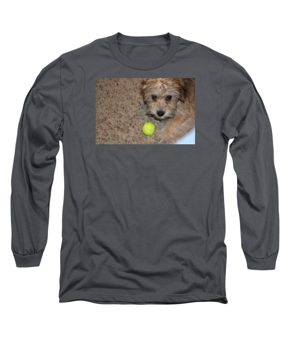 Yorkie Mix Long Sleeve T-Shirt featuring the photograph Don't Take My Ball by Sheri Simmons