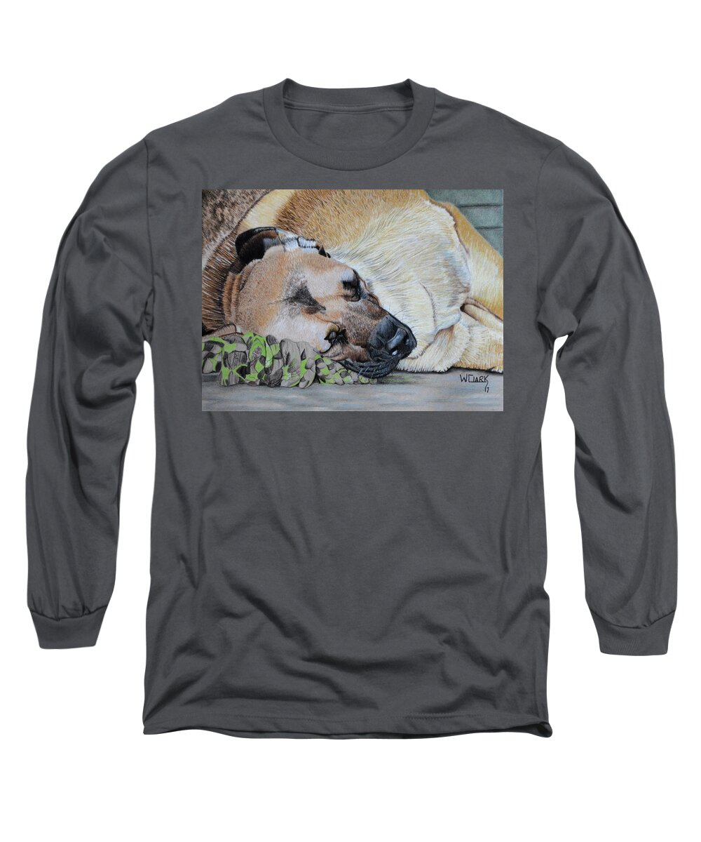 Dogs Long Sleeve T-Shirt featuring the drawing Dont touch my toy by Wade Clark