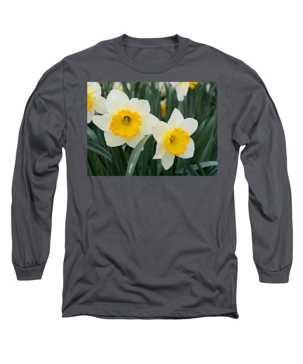 Daffodils Long Sleeve T-Shirt featuring the photograph Double Daffodils by Holden The Moment